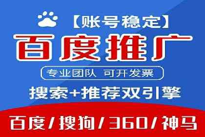 成功SEM服务案例：优化广告投放